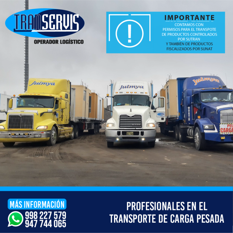 transervis 02