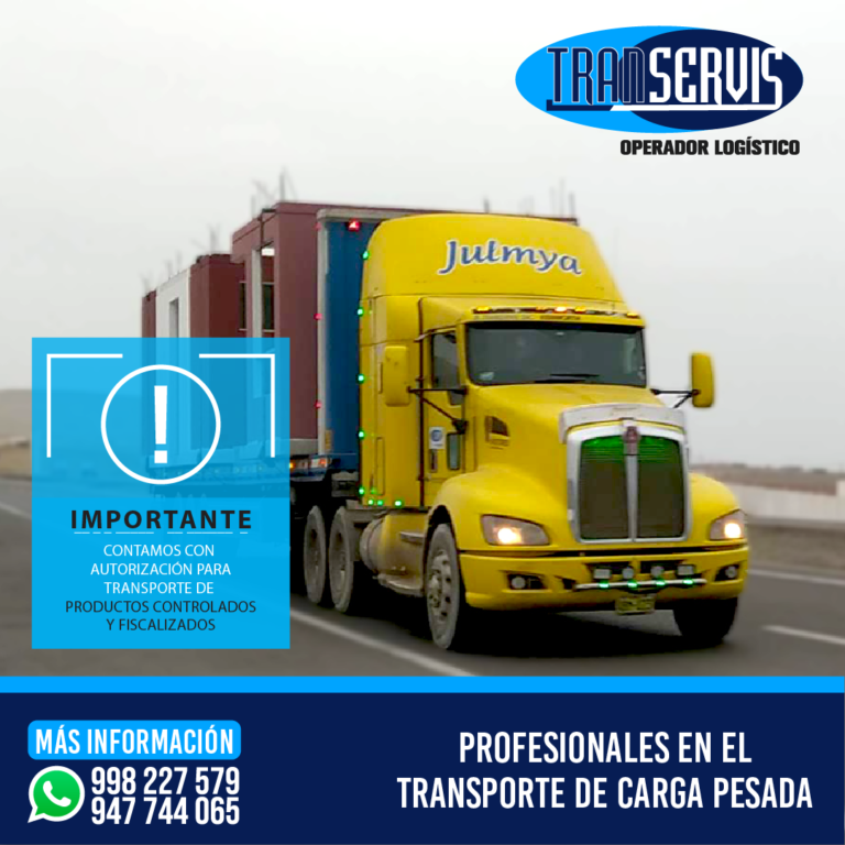 transervis 03